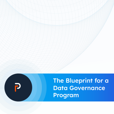 The Blueprint for a Data Governance Program