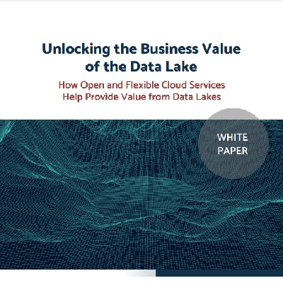 Unlocking the Business Value of the Data Lake
