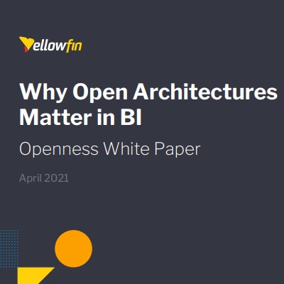 Why Open Architectures Matter in BI: A White Paper on Openness