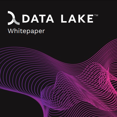 Data Lake Whitepaper
